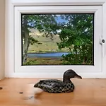 Tatil Evi 194 - Leenane Leenaun