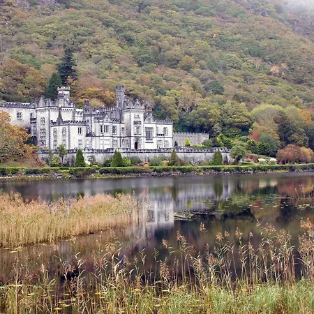 펜션 194 - Leenane *